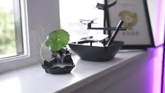 姐姐的秘密 第一集偷情